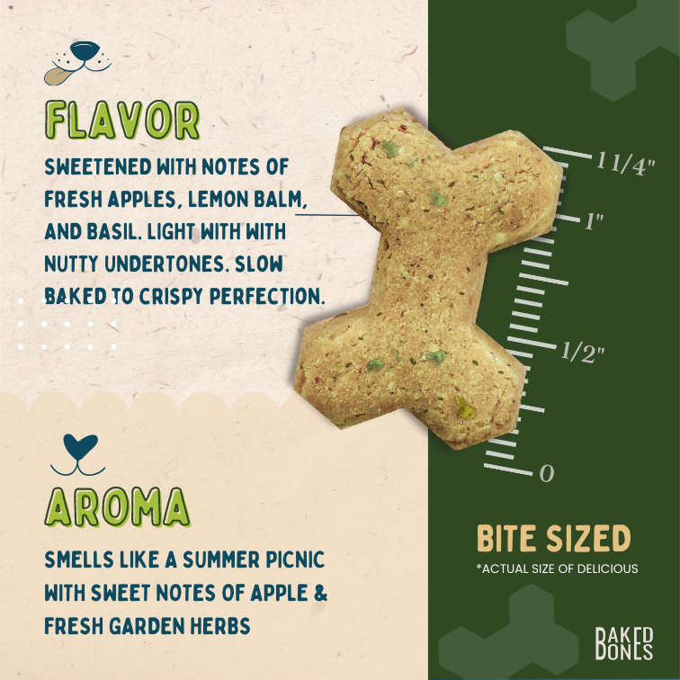 Illustration of a BakedBones CBD bone zoomed in to the actual size and placed against a ruler showing it to be 1 1/4 inch, as well as descriptive words for the flavor (sweetened with notes of fresh apples, lemon balm, and basil.  Light with nutty undertones.  Slow baked to crispy perfection) and the aroma (smells like a summer picnic with sweet notes of apple and fresh garden herbs)