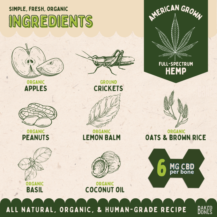 This image displays illustrations for each of the simple, fresh, organic ingredients in the Backyard CBD bones: American grown full-spectrum hemp, organic apples, ground crickets, organic peanuts, organic lemon balm, organic oats and brown rice, organic basil, and organic coconut oil.  “All natural, organic, and human-grade recipe.”