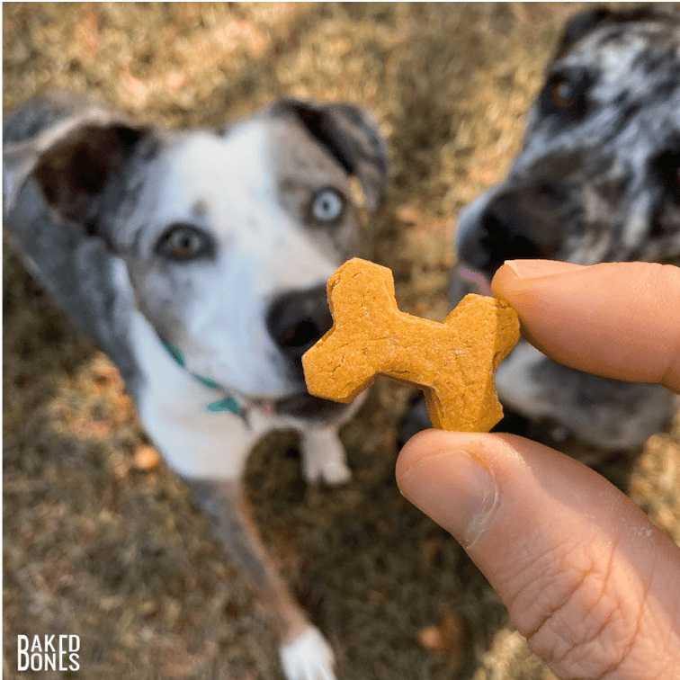 Pup-kin Spice Bones