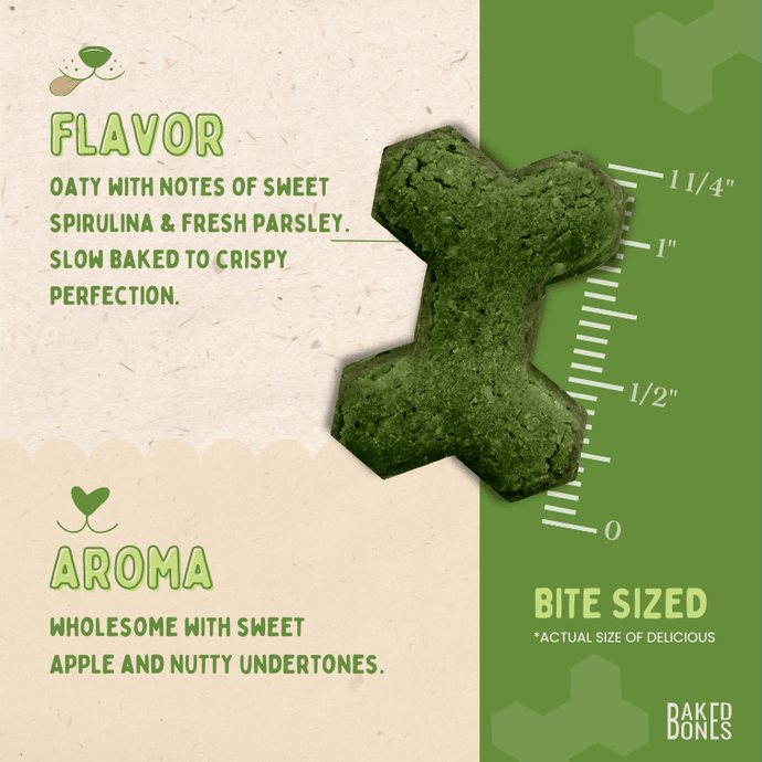 Image of a BakedBones CBD bone zoomed in to the actual size and placed against a ruler showing it to be 1 1/4 inch, as well as descriptive words for the flavor (oaty with notes of sweet spirulina and fresh parsley, slow baked to crispy perfection) and the aroma (wholesome with sweet and nutty undertones)