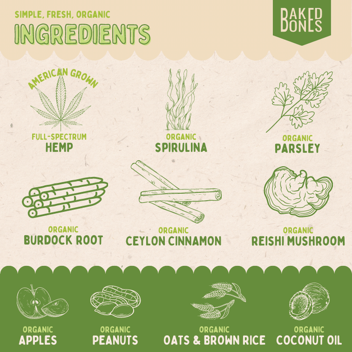 This image displays illustrations for each of the simple, fresh, organic ingredients in the Balance CBD bones: American grown full-spectrum hemp, organic spirulina, organic parsley, organic burdock root, organic cinnamon, organic Reishi mushroom, organic apples, organic peanuts, organic oats, organic brown rice, and organic coconut oil