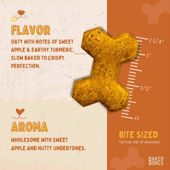 Image of a BakedBones CBD bone zoomed in to the actual size and placed against a ruler showing it to be 1 1/4 inch, as well as descriptive words for the flavor (oaty with notes of sweet apple and earthy turmeric, slow baked to crispy perfection) and the aroma (wholesome with sweet and nutty undertones)