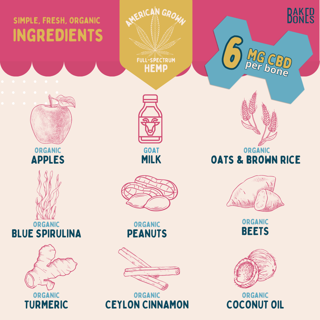 This image displays illustrations for each of the simple, fresh, organic ingredients in the Birth-DATE CBD bones: American grown full-spectrum hemp, organic apples, goat milk, organic oats and brown rice, organic blue spirulina, organic peanuts, organic beets, organic turmeric, organic Ceylon cinnamon, and organic coconut oil.  “6 MG CBD per bone”